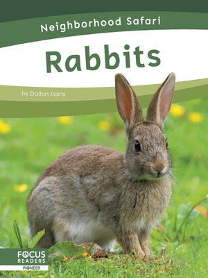 cover image of Rabbits